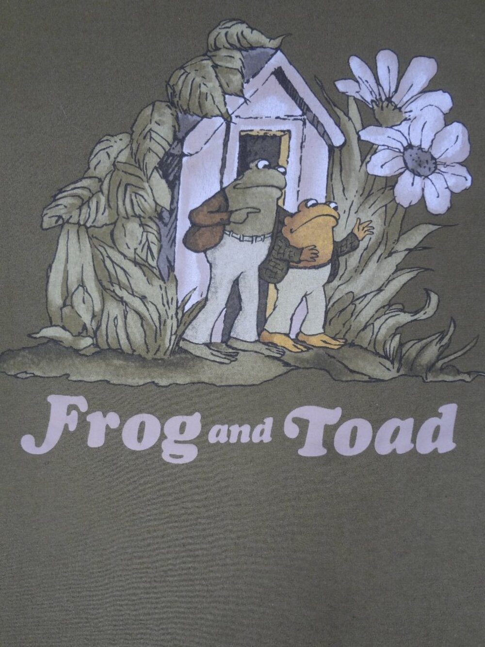 FROG AND TOAD TOGETHER ARNOLD LOBEL BOOK SHIRT LARGE GREEN T-SHIRT L972